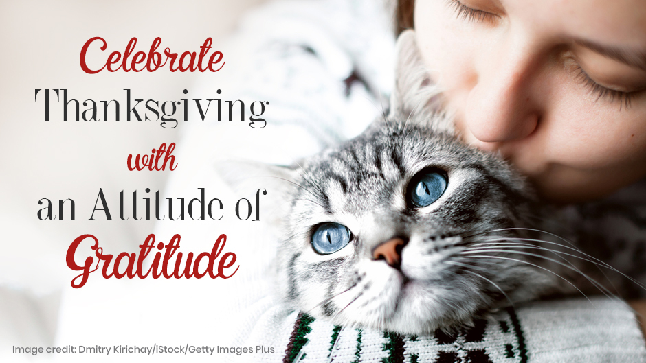 Celebrate Thanksgiving with an Attitude of Gratitude