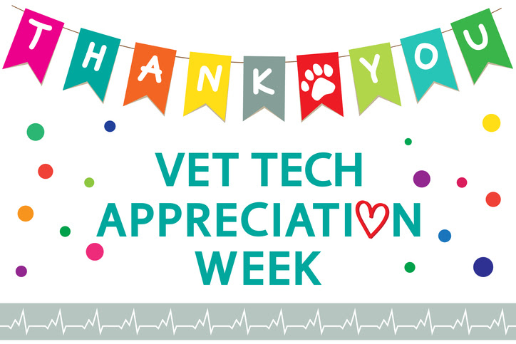 Vet Tech Appreciation