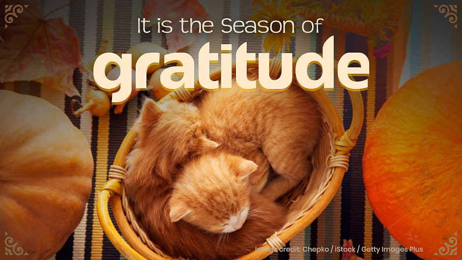 It is the Season of Gratitude